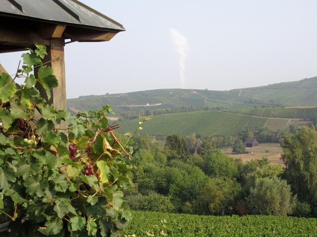 Aussicht vom Eselberg Richtung Heilbronn