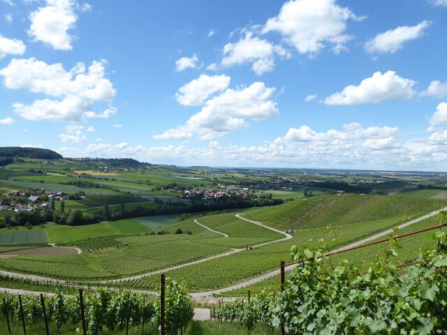 Steinbacher Tal