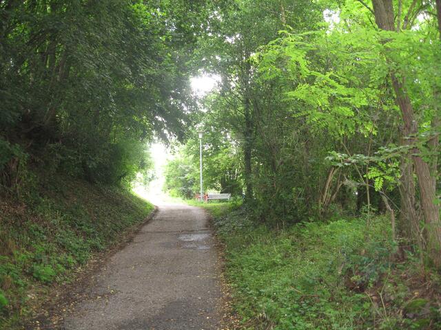 Bergauf, noch im Schatten.