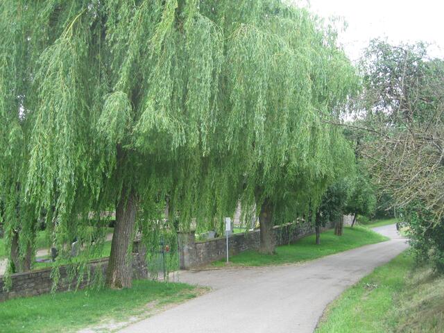 Am Friedhof vorbei erreichen wir erneut Unterkessach.