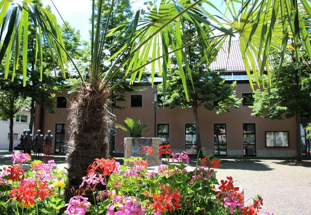 Fleiner Rathaus durch die Palme
