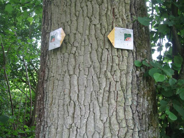 Die Beschilderung passt. Die Route läßt sich leicht finden.