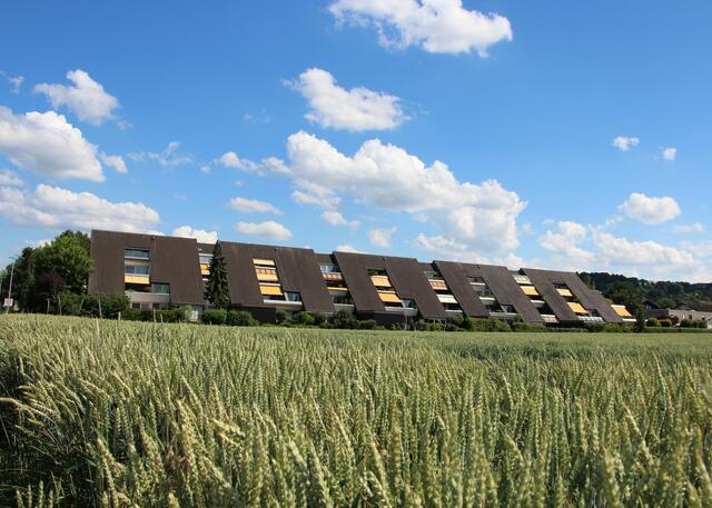 Flein "Hügelhaus" hier wohnen Sie im Grünen