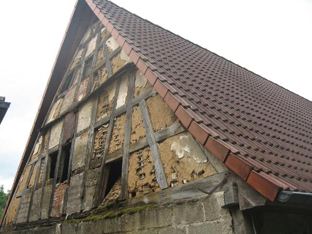 Lehm! Wildbienen, wo seid ihr?