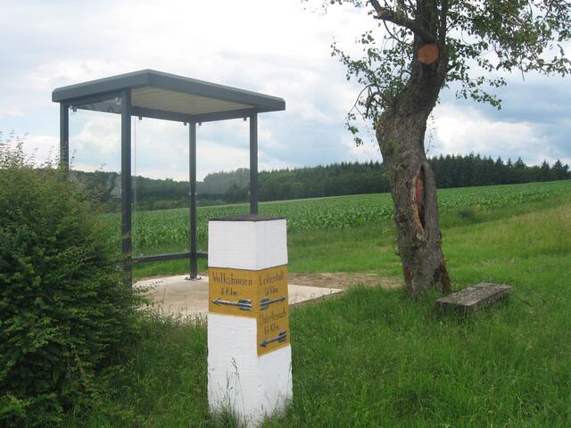 Vier Glasflächen à 2x1 Meter mitten in der Landschaft! Arme Vögelchen.