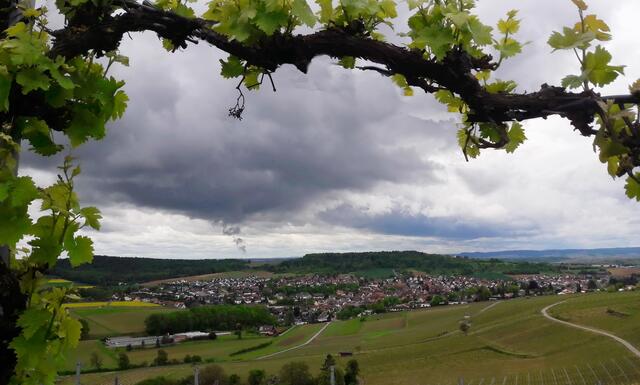 Flein; Blick vom Staufenberg