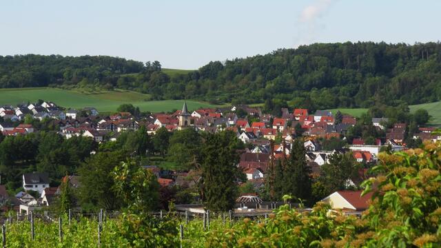 Flein; Blick von der Sommerhöhe