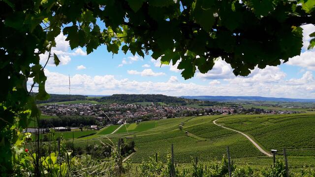 Flein; Blick vom Staufenberg