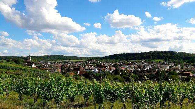 Flein; Blick von der Sommerhöhe