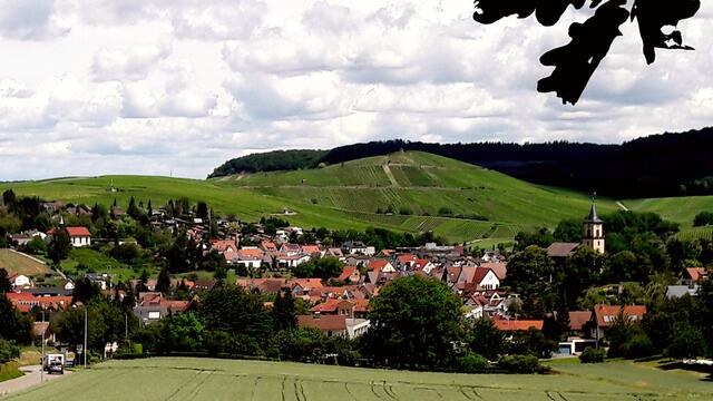 Flein; Blick vom Haigern