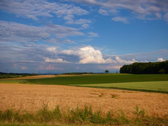 Die Landschaft bei Siegelsbach