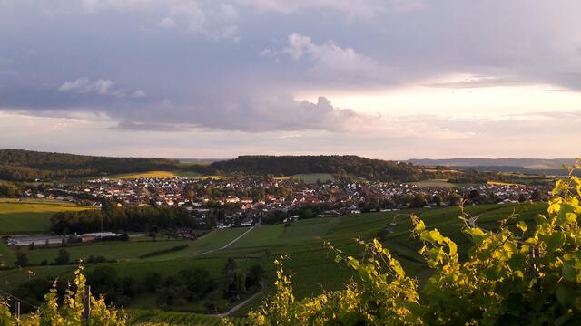 Flein; Blick vom Staufenberg