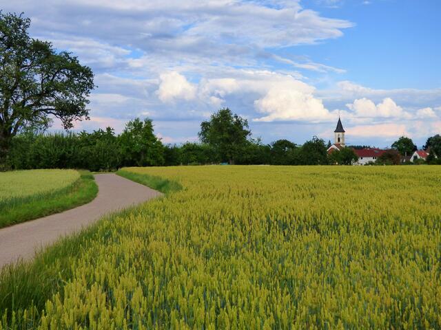 Schöne Wege führen nach Siegelsbach