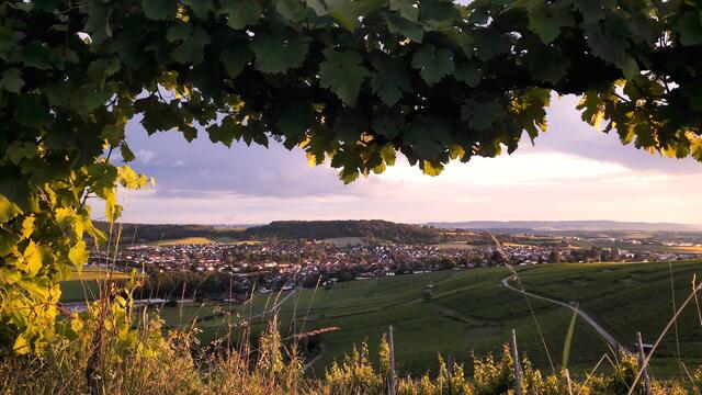 Flein; Blick vom Staufenberg