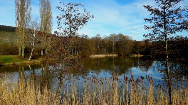 Leberbrunnensee bei Flein