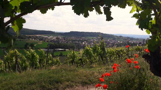 Flein; Blick vom Staufenberg