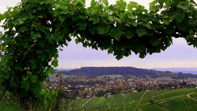 Flein; Blick vom Staufenberg