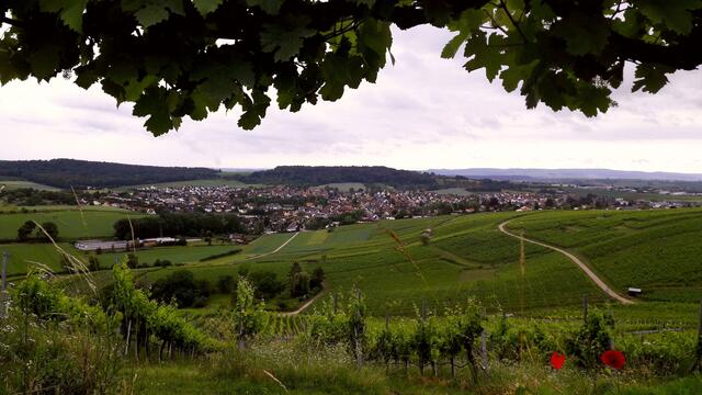Flein; Blick vom Staufenberg