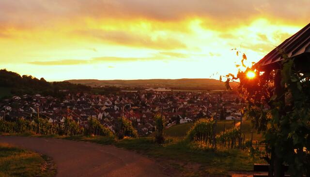 Abendstimmung auf dem Eselsberg mit Blick auf Flein
