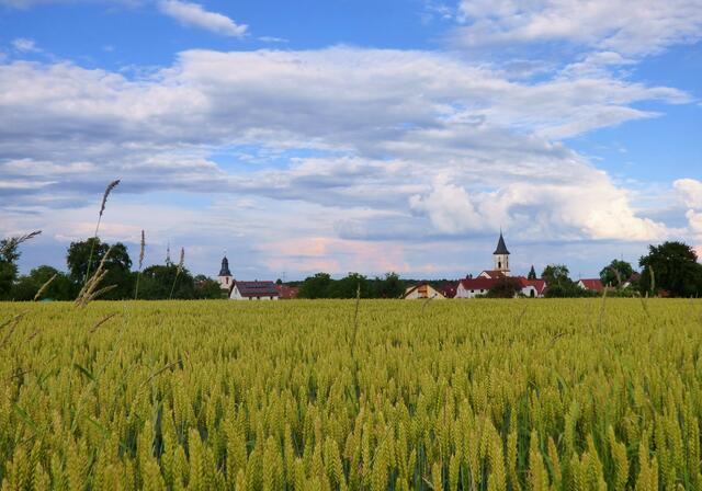 Die Kirchtürme der beiden Siegelsbacher Kirchen zaubern ganz viel ländliche Idylle