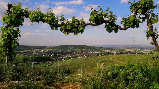 Flein; Blick vom Staufenberg