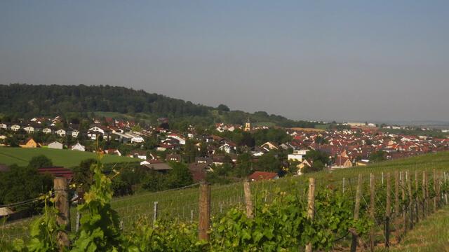 Flein; Blick von der Sommerhöhe