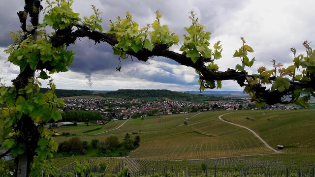 Flein; Blick vom Staufenberg