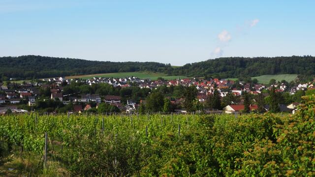 Flein; Blick von der Sommerhöhe