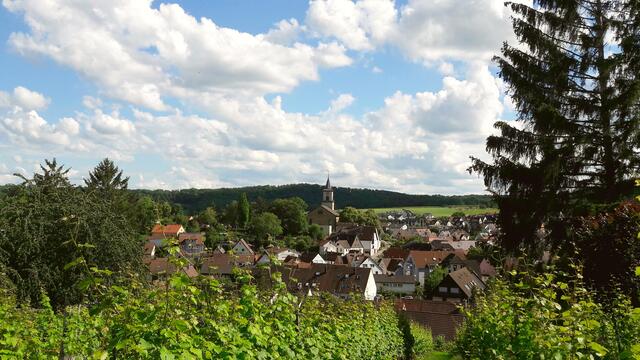 Flein; Blick von der Sommerhöhe