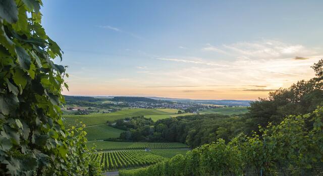 Blick auf Flein