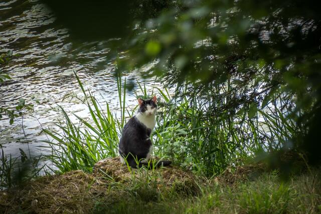 Guckst Du ?