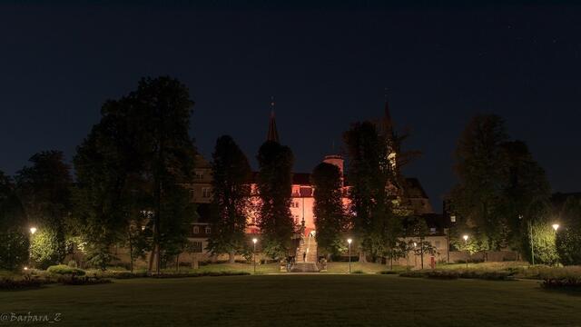 Light of Night im Hofgarten Richtung Schloss