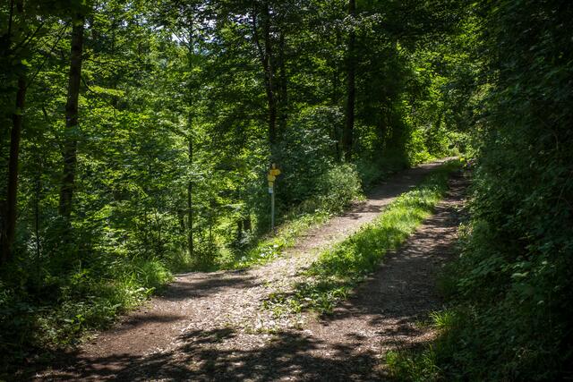 Jagststeig