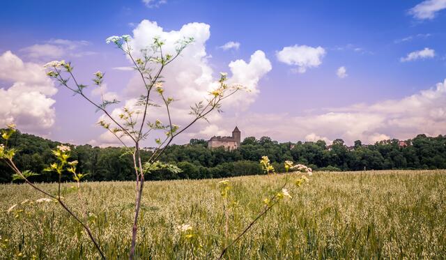 Blick zur Stauferburg Hornberg