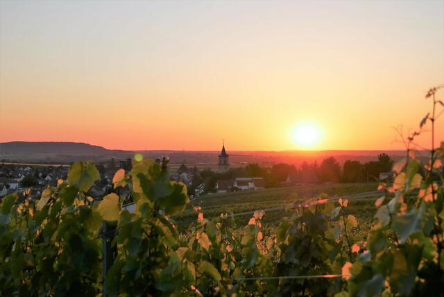 Abendstimmung über Flein