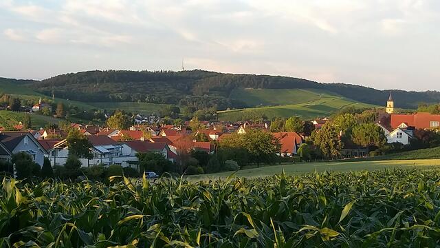 Flein im Abendlicht