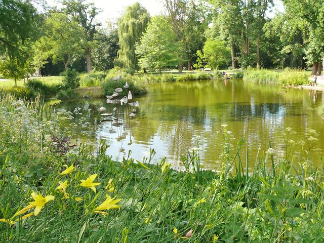 Ein Sommertag am Hofgartensee