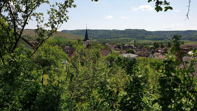Michelbach am Wald