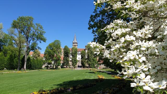 Frühling im Hofgarten