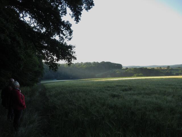 Hier ist der Dunst und Sonnenstrahl noch besser zu erkennen.