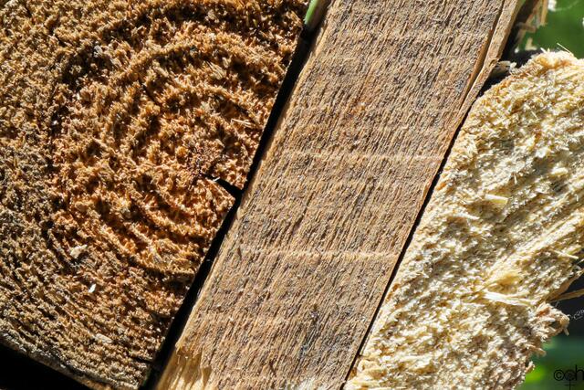 Holz Ute