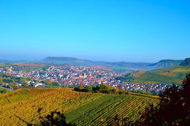 Erlenbach-Binswangen am frühen Morgen