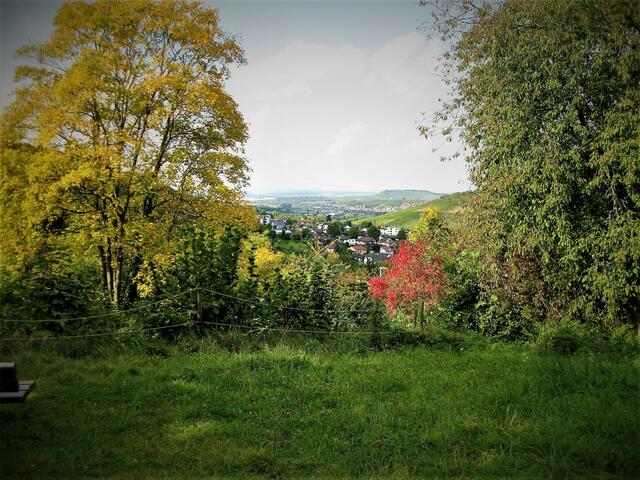 Blick auf Erlenbach 25.09.2017