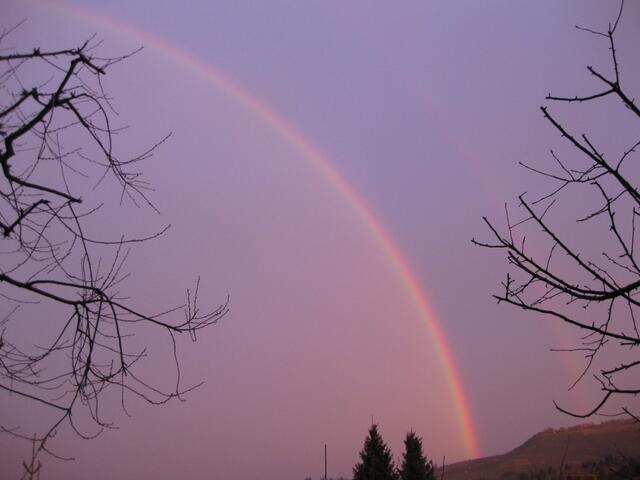 Regenbogen in Binswangen 23.01.2009
