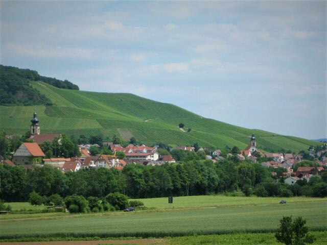 Blick auf Binswangen und Erlenbach 23.06.2010