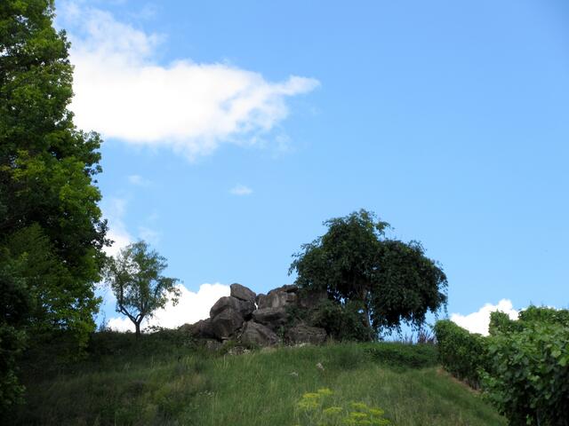Wir machten uns Gedanken, wo die Steinblöcke am Hang herkommen. Auf dem Weg zum Weingut Amalienhof.