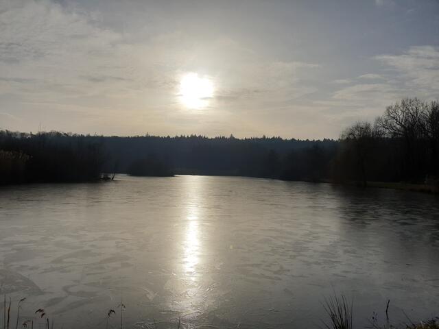 Winterstimmung am Gleichener See
