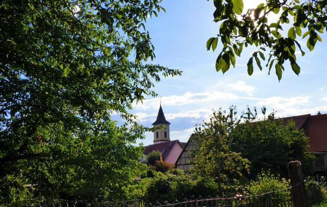 Der Kirchturm der kath. Kirche ist fast von überall in Siegelsbach zu sehen - hier der Blick über die Schrebergärten