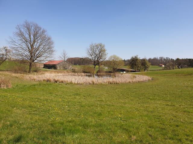 Der Alte Gleichener See in Obergleichen