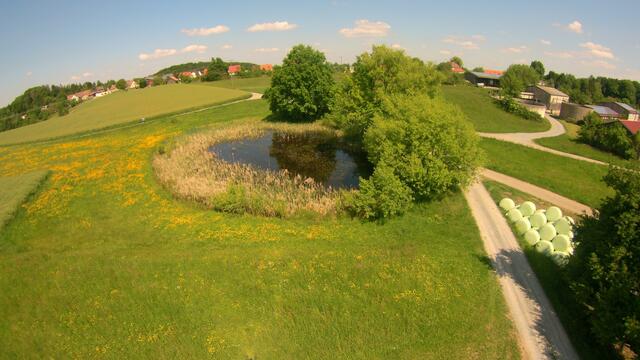 Alter See in Gleichen